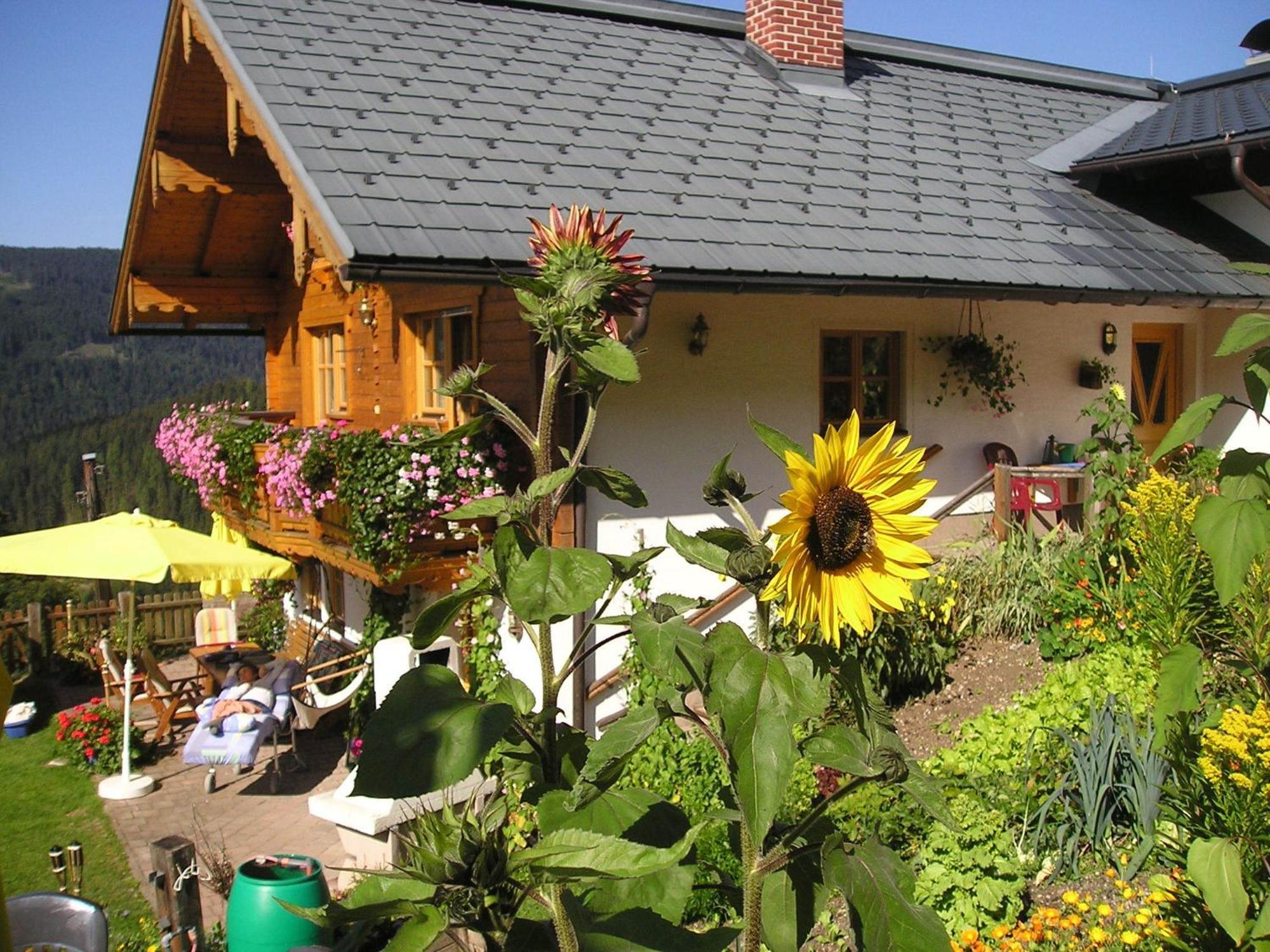 Fesengut Hotel Annaberg im Lammertal Exterior foto